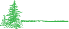 young landscapes logo
